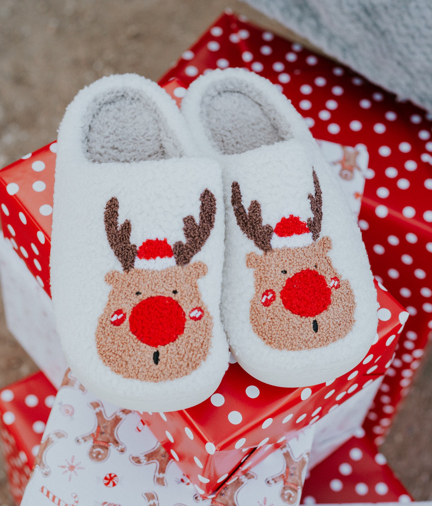 Rudolph Slippers
