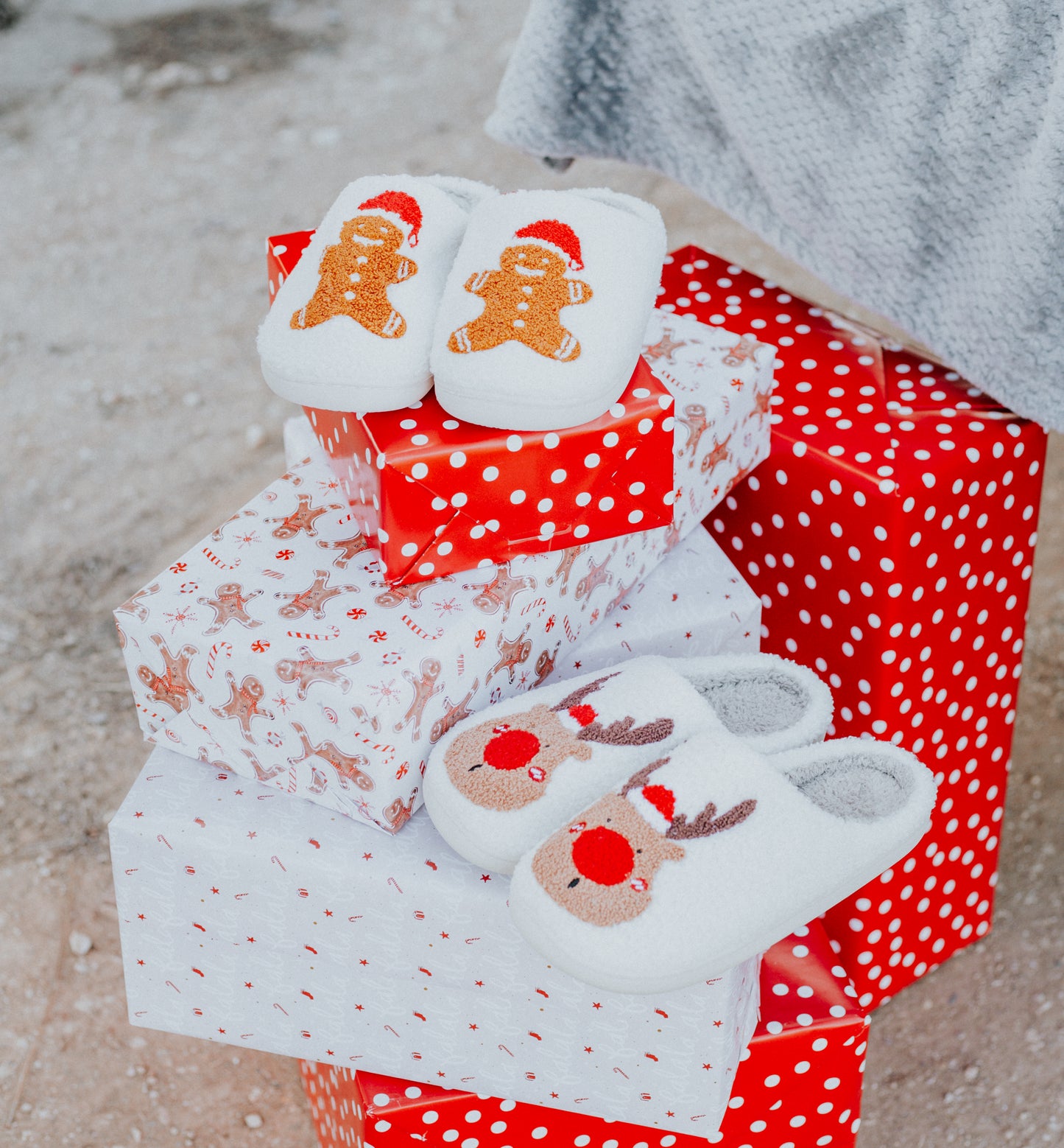 Rudolph Slippers