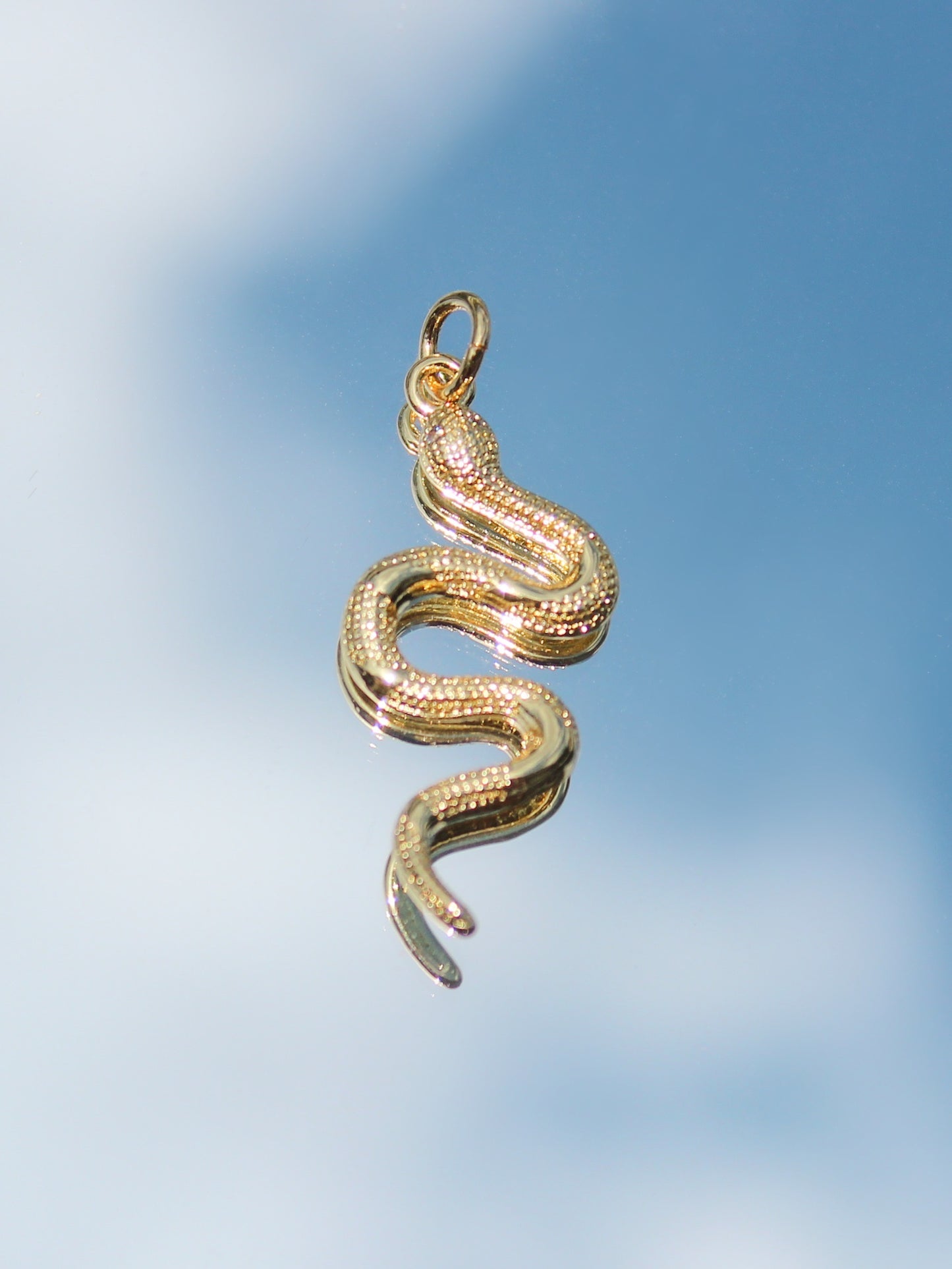 Snake Charm